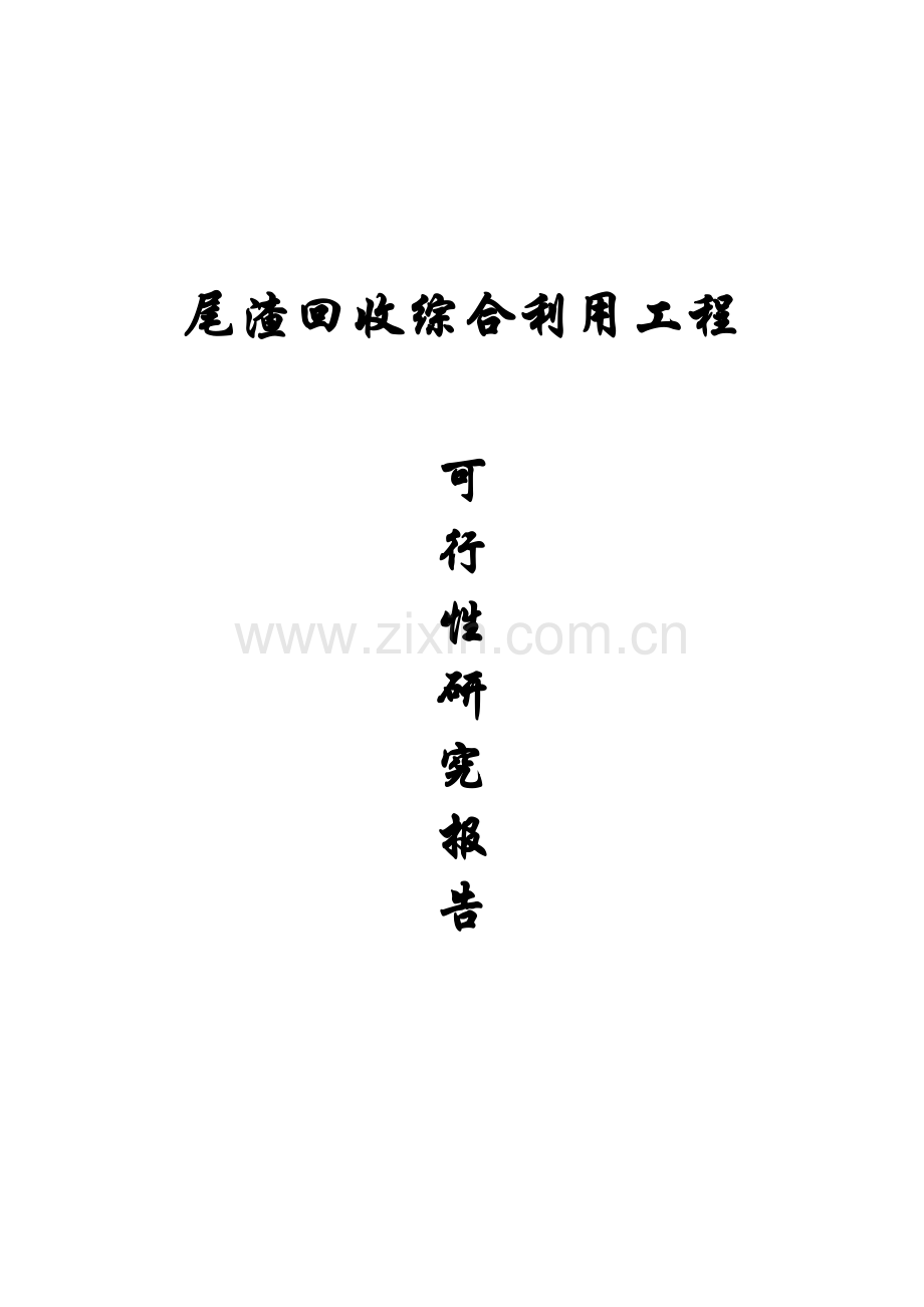 尾渣回收利用项目可行性论证报告.doc_第1页