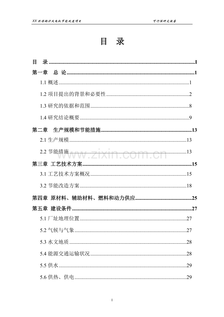 某某造纸企业燃煤锅炉及电机节能改造项目可行性论证报告.doc_第1页
