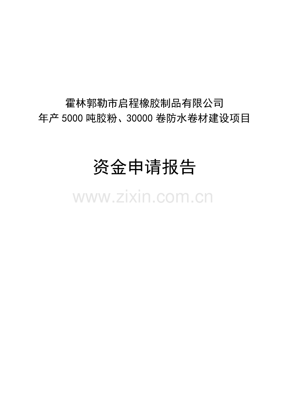资源型城市经济转型项目资金建设可行性论证报告(废旧轮胎项目).doc_第1页