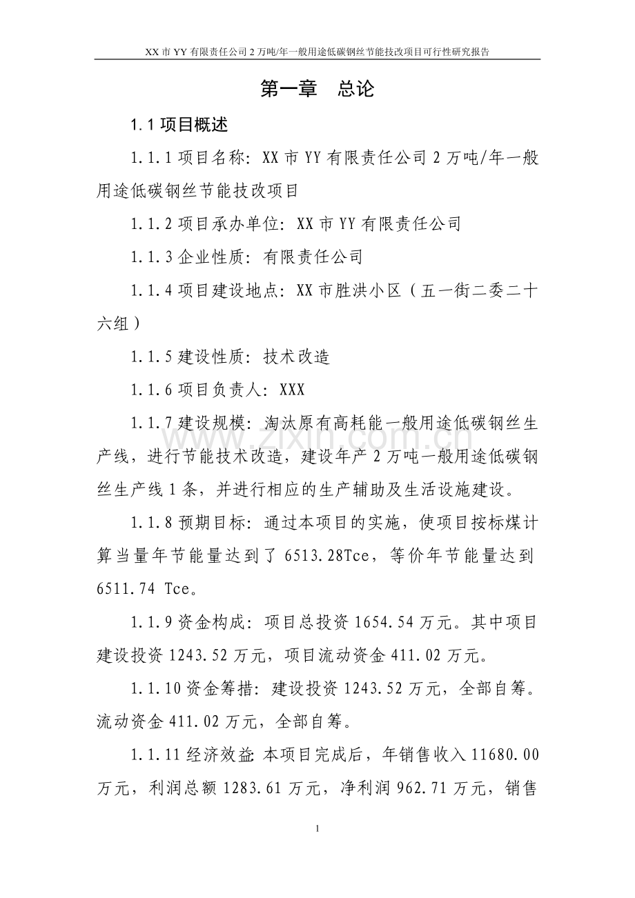低碳钢丝申请建设可行性分析报告书.doc_第1页