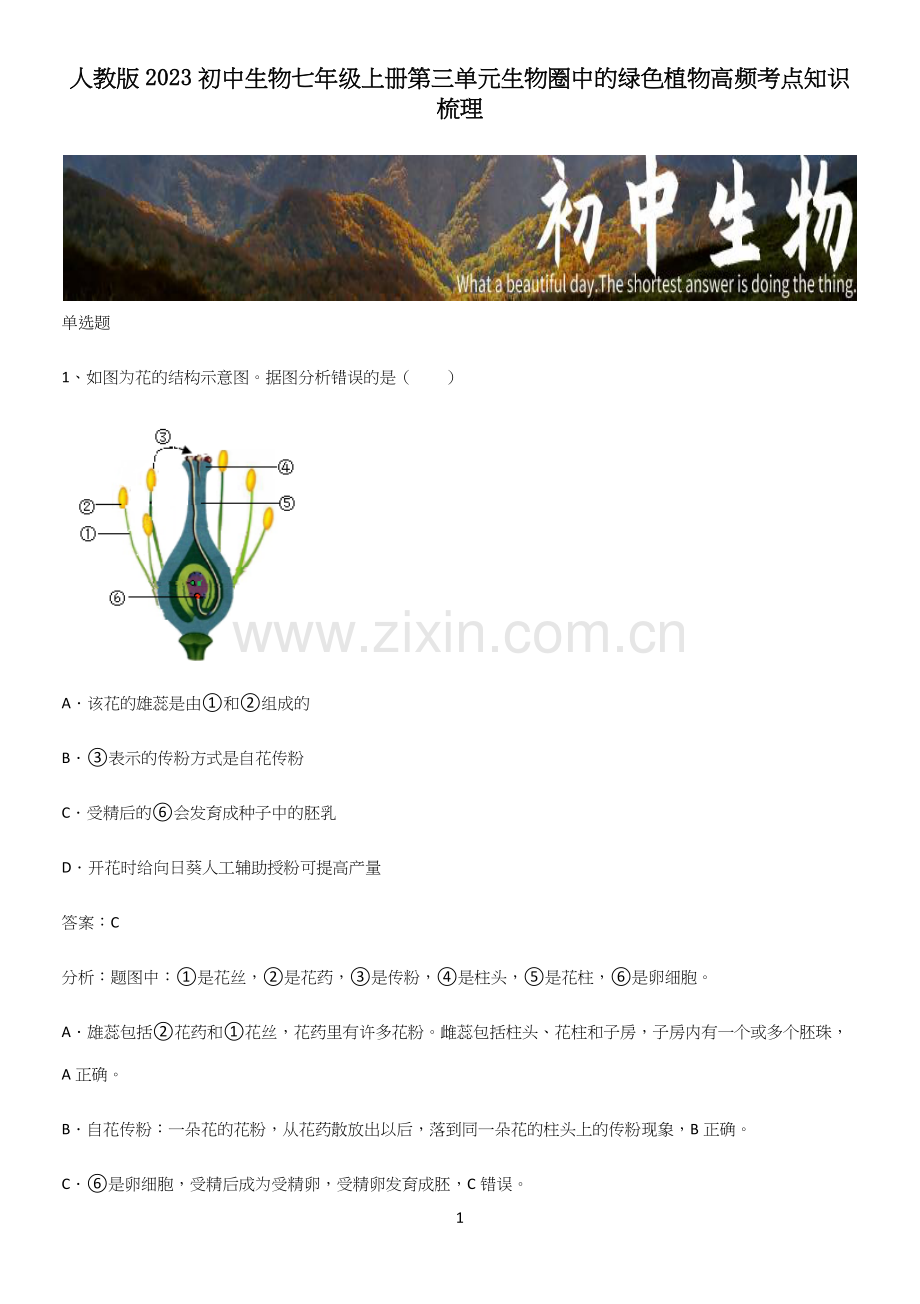 人教版2023初中生物七年级上册第三单元生物圈中的绿色植物高频考点知识梳理.docx_第1页