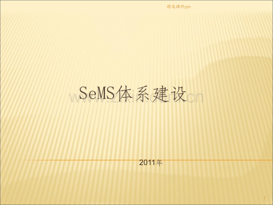 《SeMS体系》PPT课件.ppt_第1页