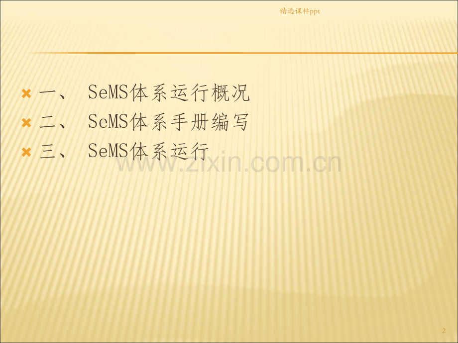 《SeMS体系》PPT课件.ppt_第2页