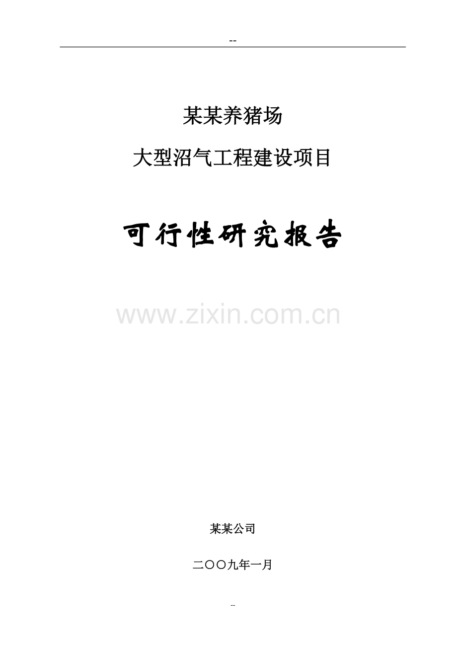 养猪场大型沼气工程新建项目可行性论证报告(资金可行性论证报告).doc_第1页