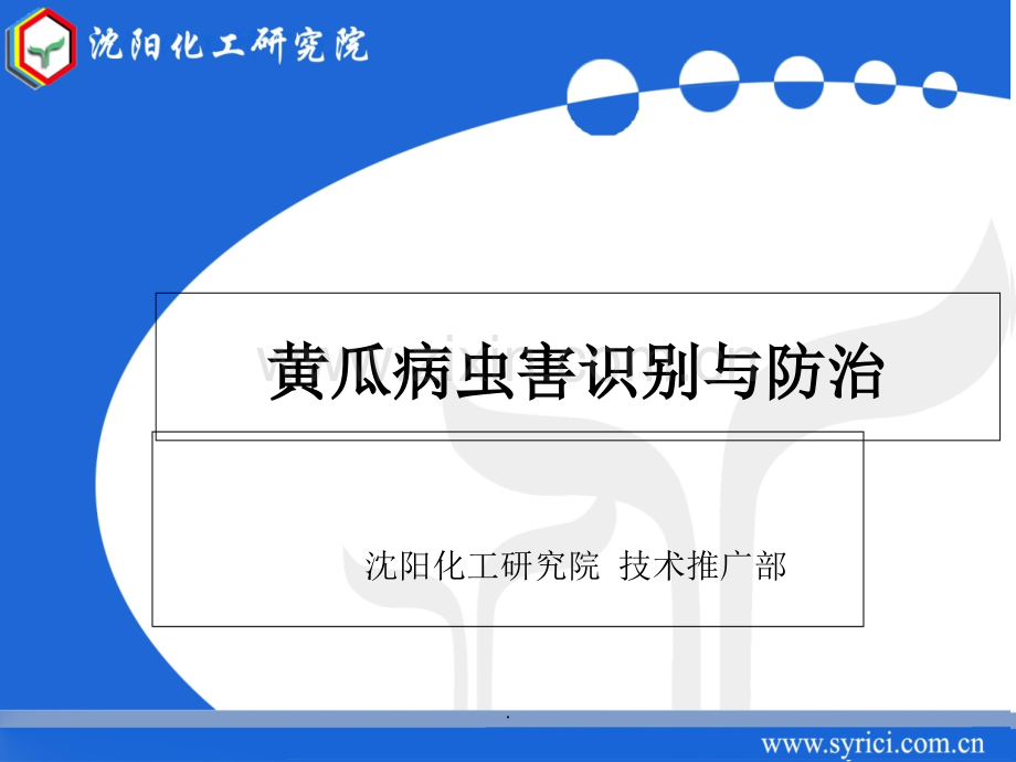 黄瓜病虫害识别与防治.ppt_第1页
