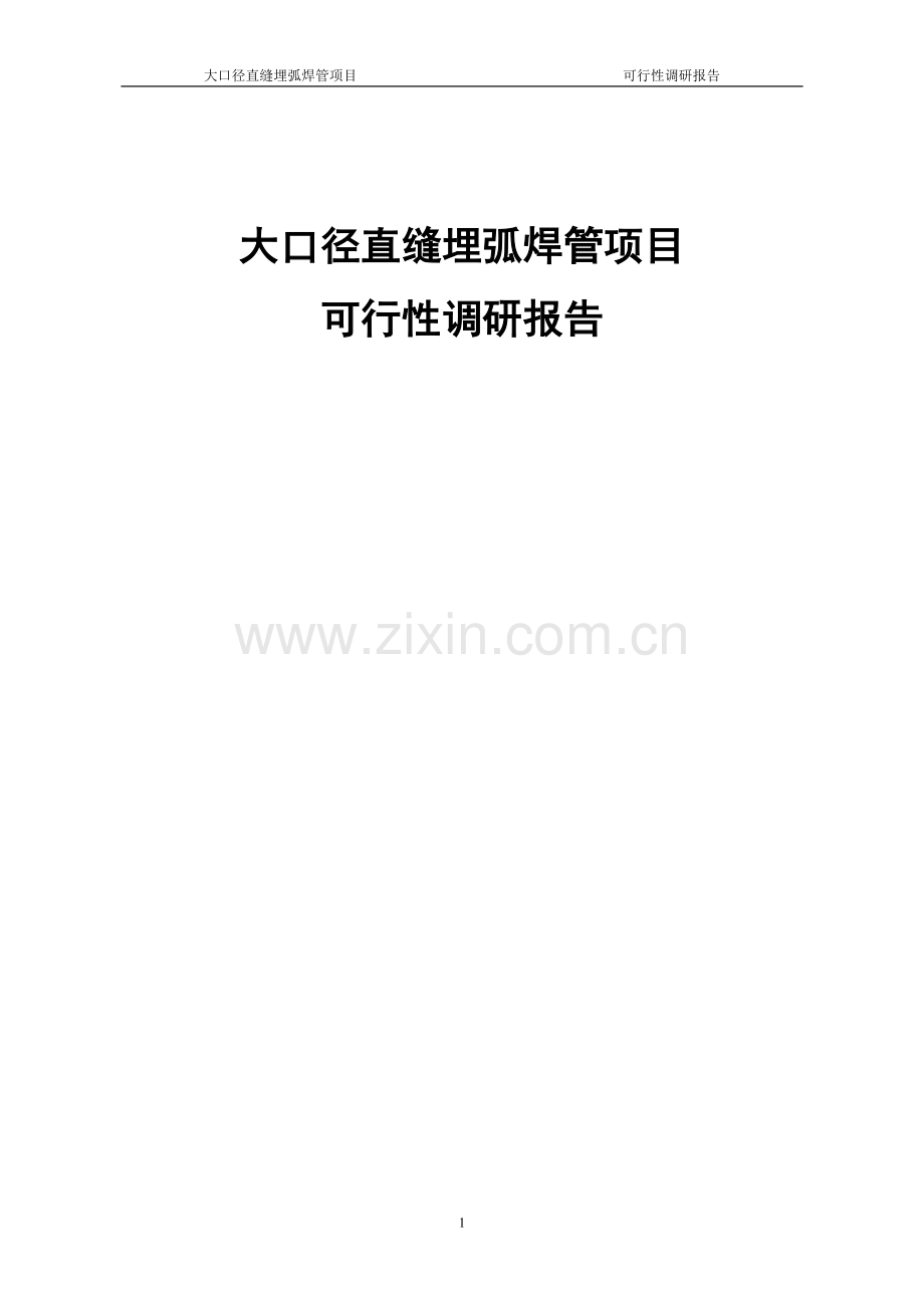 大口径直缝埋弧焊管项目可行性论证报告.doc_第1页