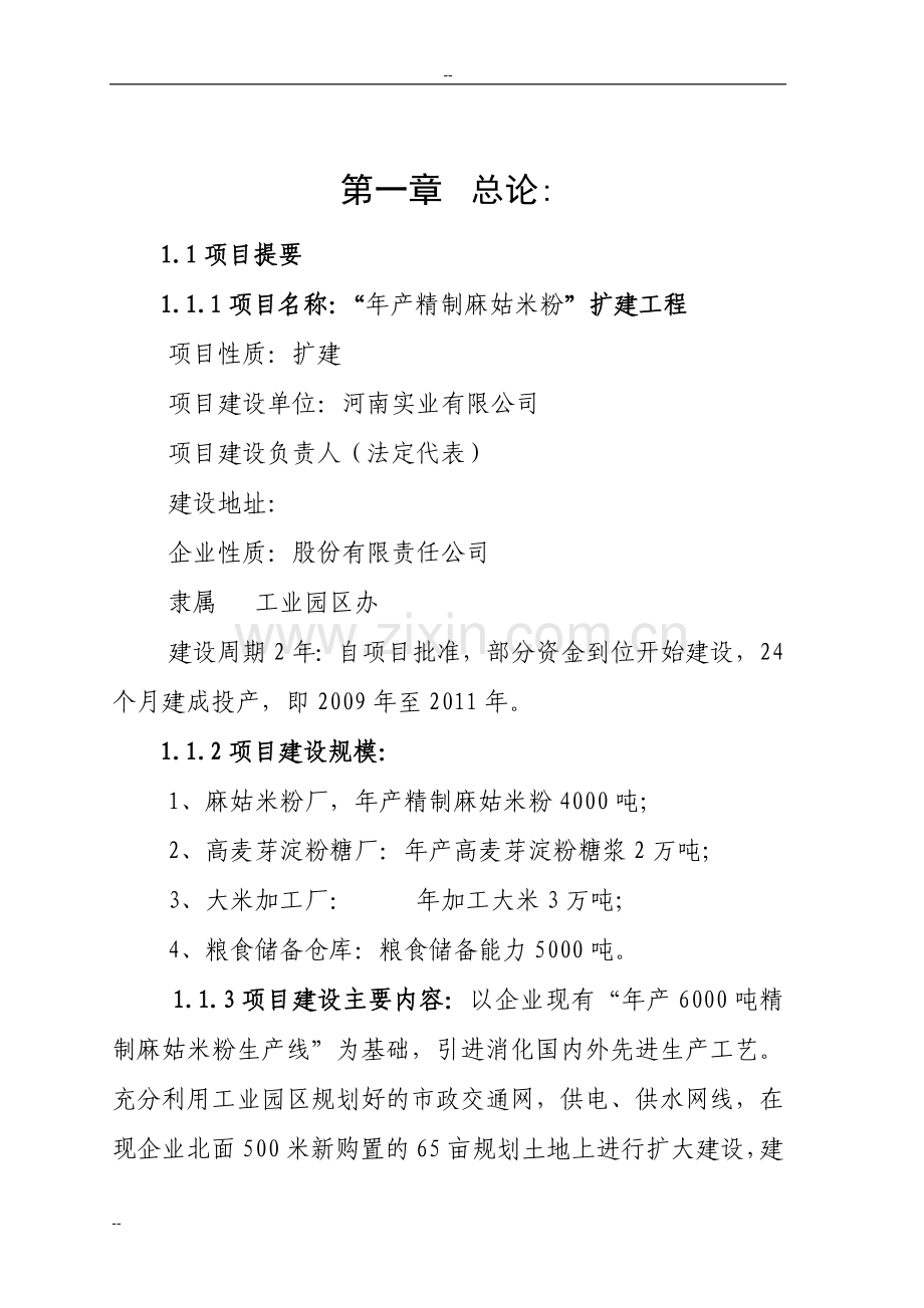 某年精制麻姑米粉扩建工程项目可行性研究报告-优秀甲级资质可研报告.doc_第1页