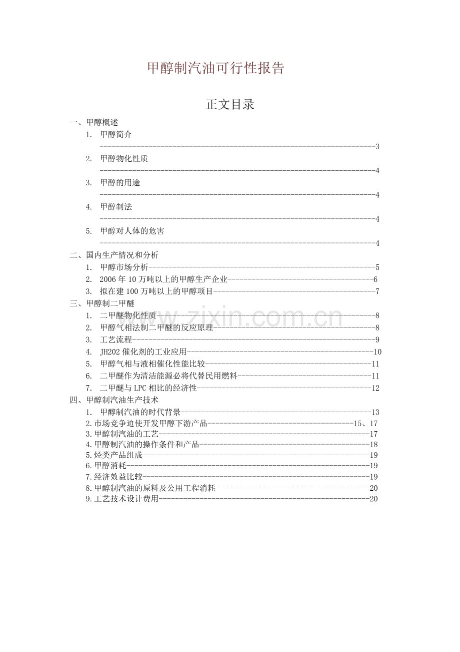 甲醇制汽油投资可行性策划书.doc_第1页