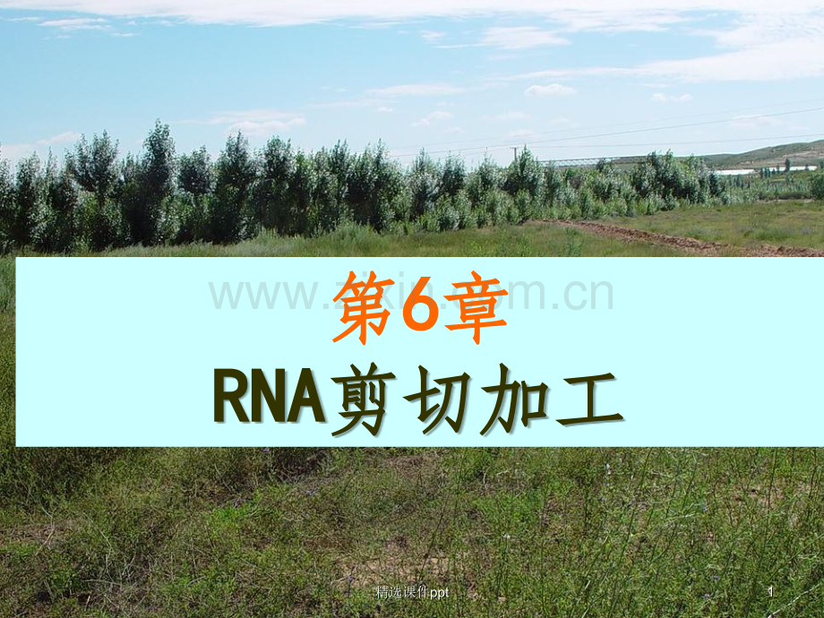 《RNA剪切加工》PPT课件.ppt_第1页