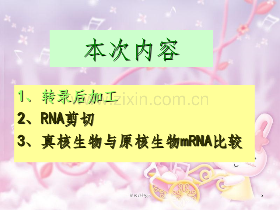 《RNA剪切加工》PPT课件.ppt_第2页