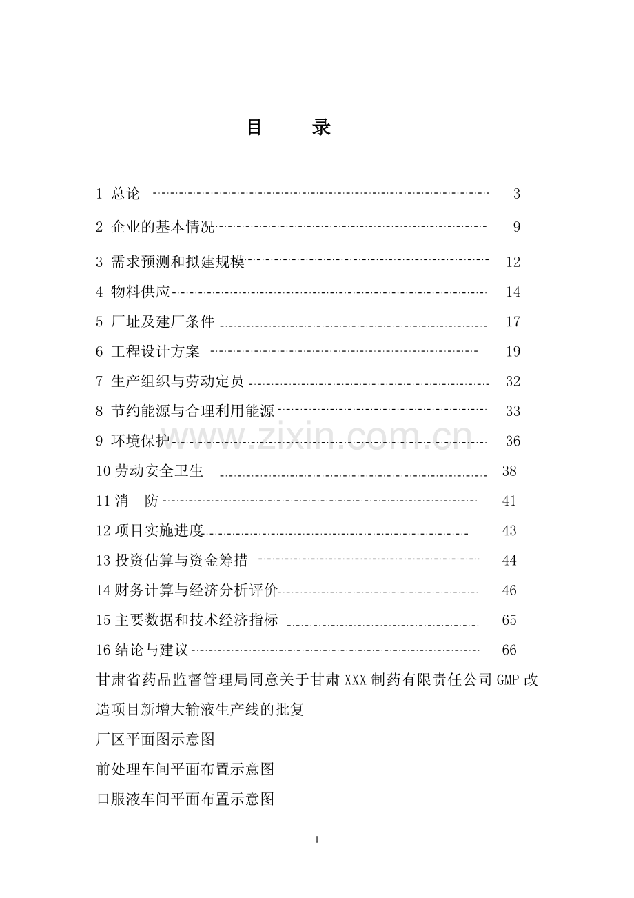 xxx中药提取项目可行性论证报告.doc_第1页