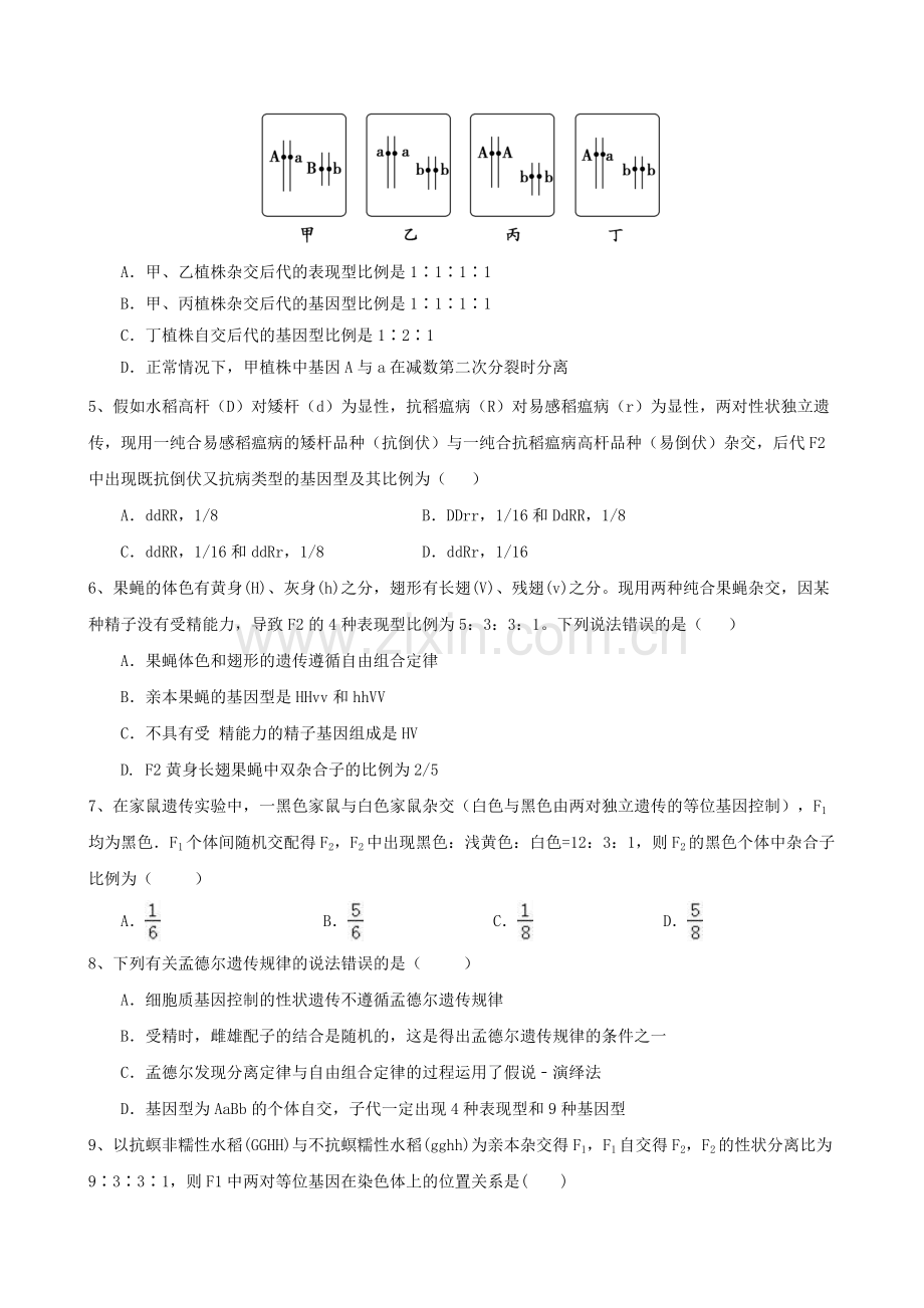 【必修2】高2018届高考第一轮复习试题综合练习1第1章孟德尔遗传定律【无答案】.doc_第2页