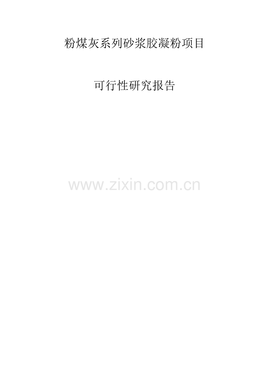 粉煤灰可行性报告.doc_第1页