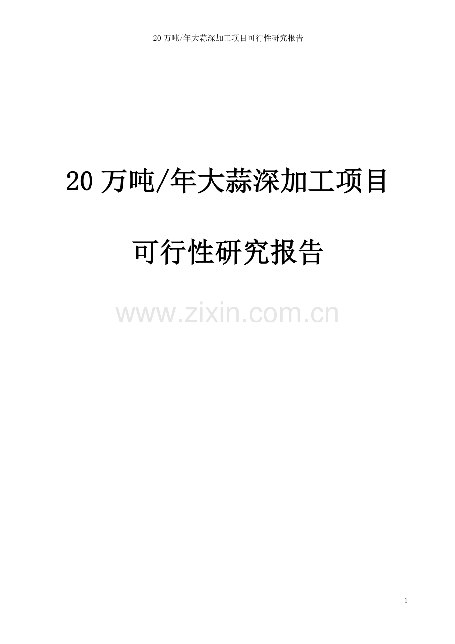 20万吨年紫皮大蒜深加工项目可行性论证报告.doc_第1页