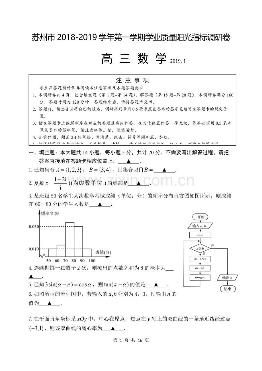 江苏省苏州市2019届高三第一学期期末考试数学试卷.doc_第1页