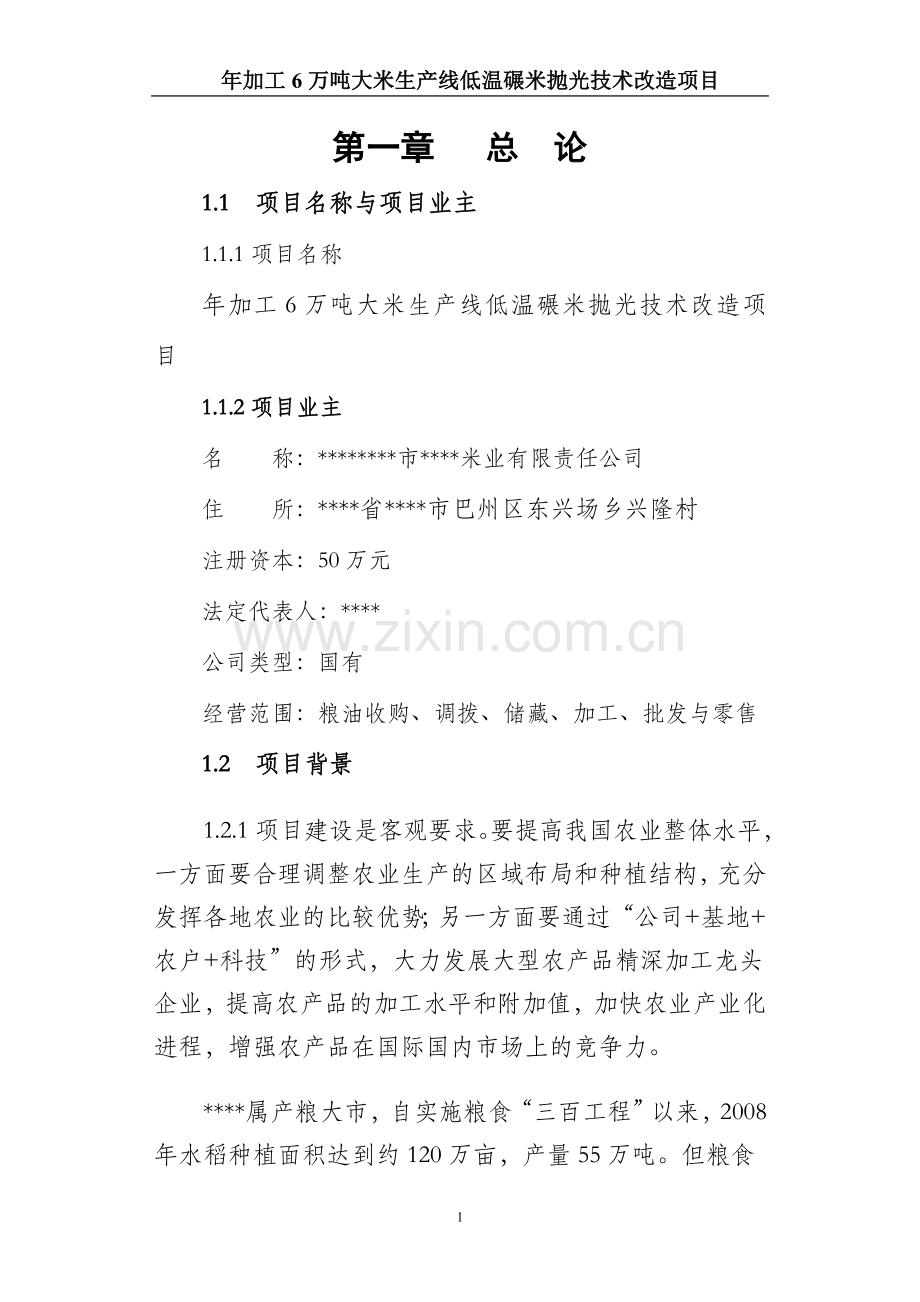 年加工6万吨大米生产线低温碾米抛光技术改造项目可行性研究报告-(2).doc_第1页