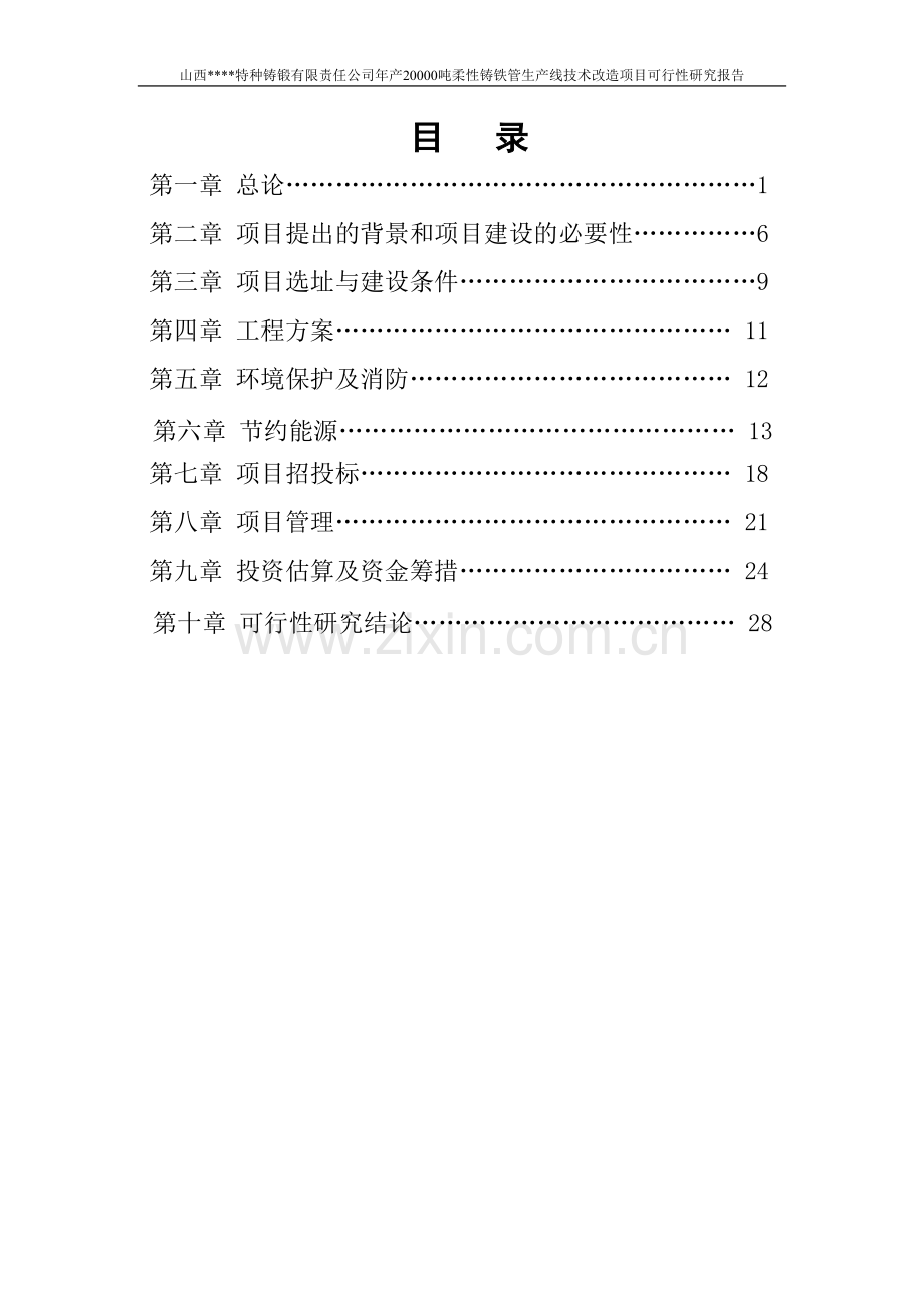 年产-20000-吨柔性铸铁管生产线技术改造项目可行性论证报告.doc_第2页