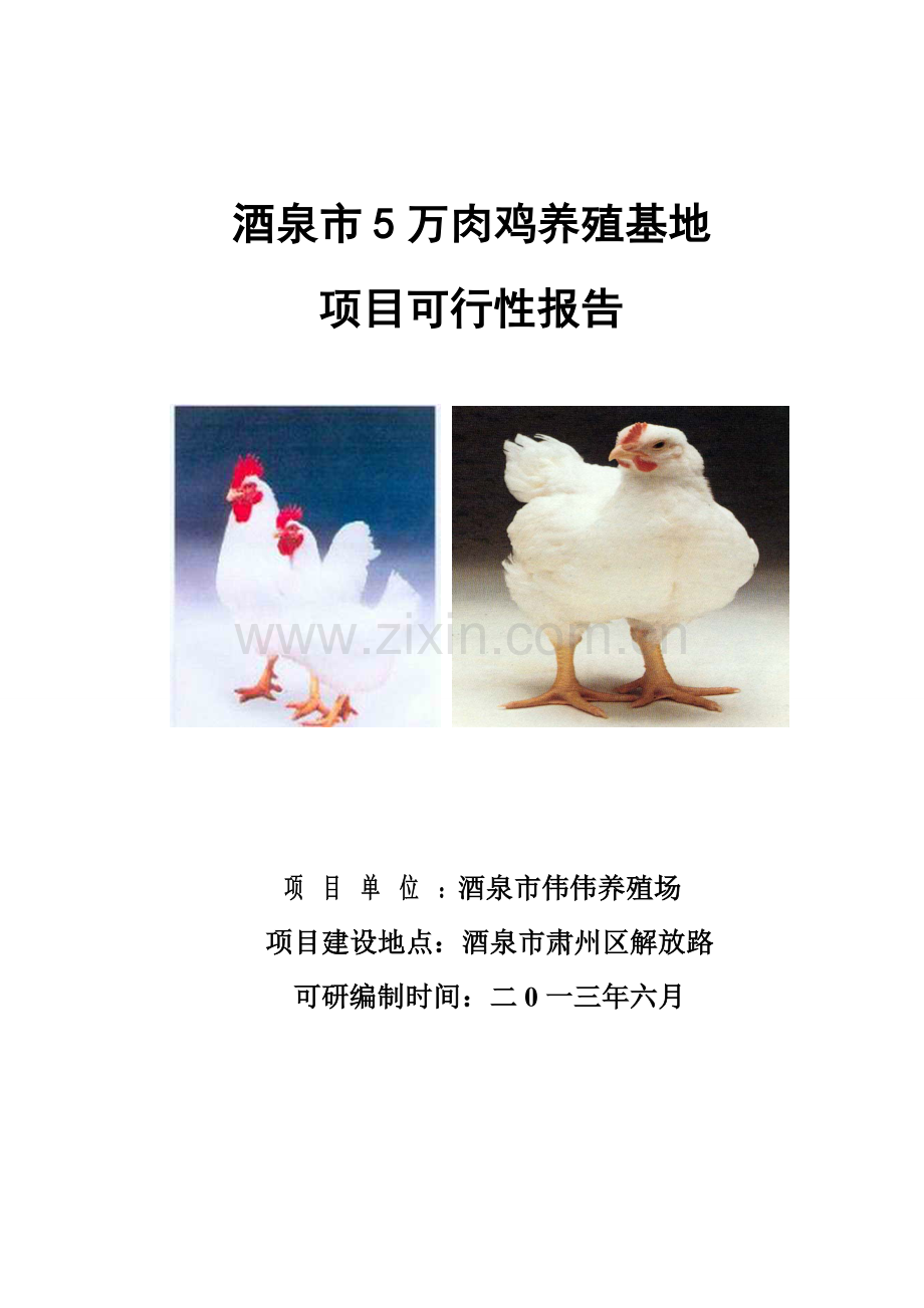 5万只肉鸡养殖基地项目申请立项可行性研究报告.doc_第1页