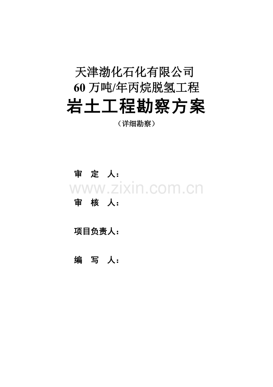 天津渤海化工方案1工程类资料.doc_第2页