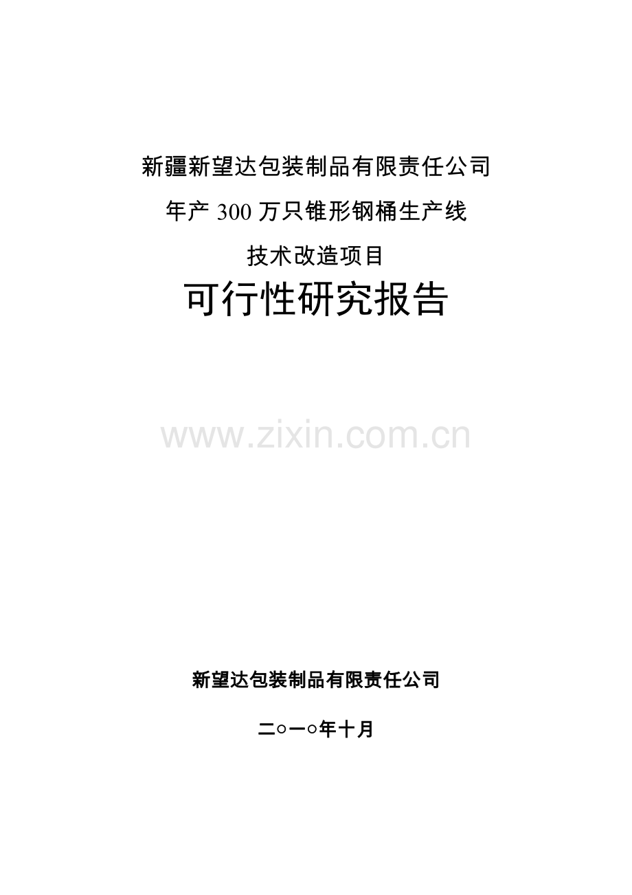 年产300万只锥形钢桶生产线技术改造项目可行性论证报告.doc_第1页