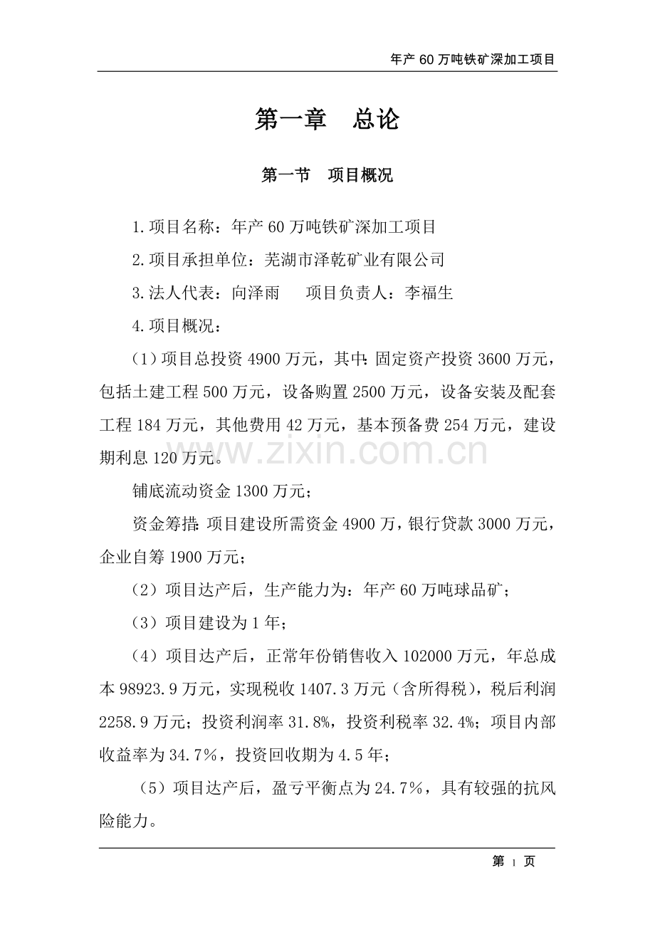 年产60万吨铁矿深加工项目可行性研究报告.doc_第1页