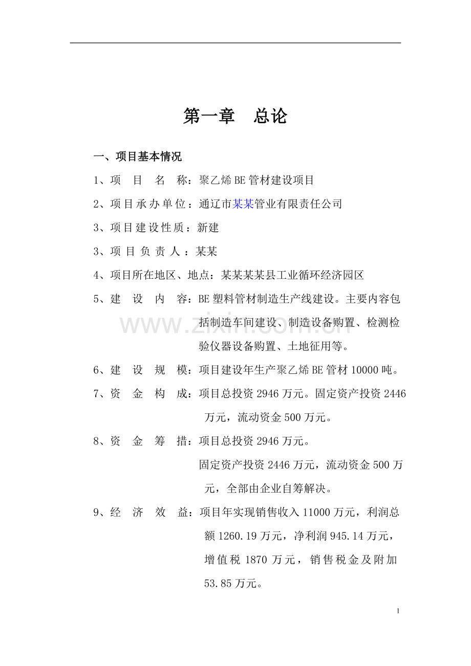 公司聚乙烯be管材项目可行性研究报告.doc_第1页