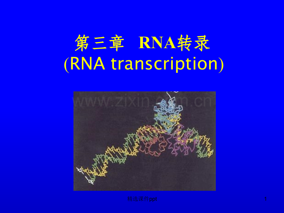 《RNA转录》PPT课件.ppt_第1页