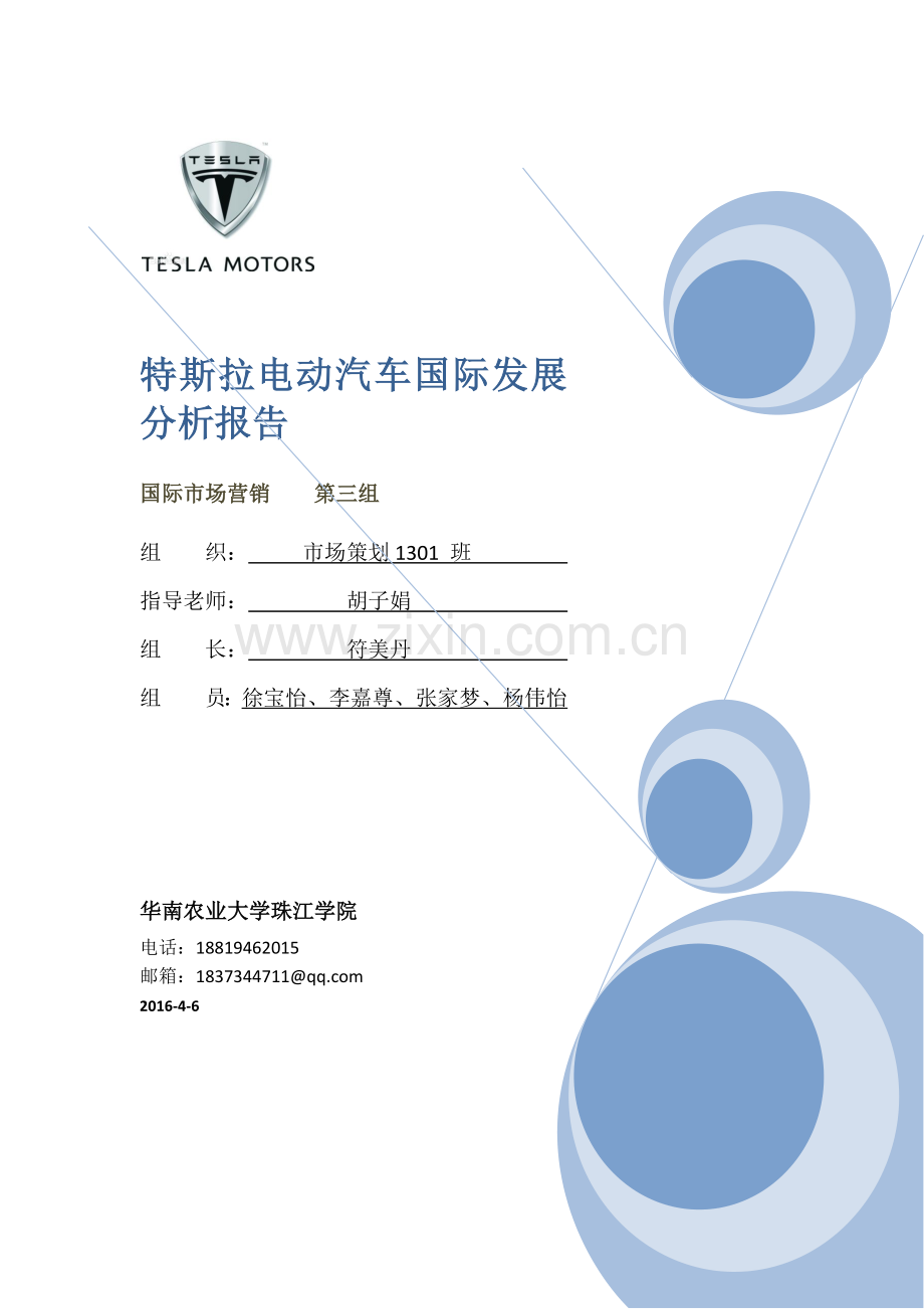 特斯拉分析报告.doc_第1页