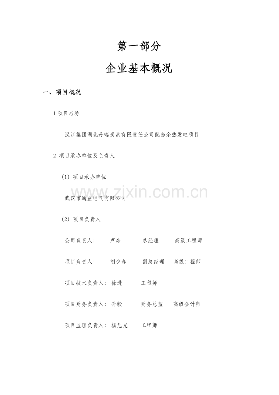 湖北丹瑞炭素有限公司余热发电项目可行性论证报告.doc_第2页