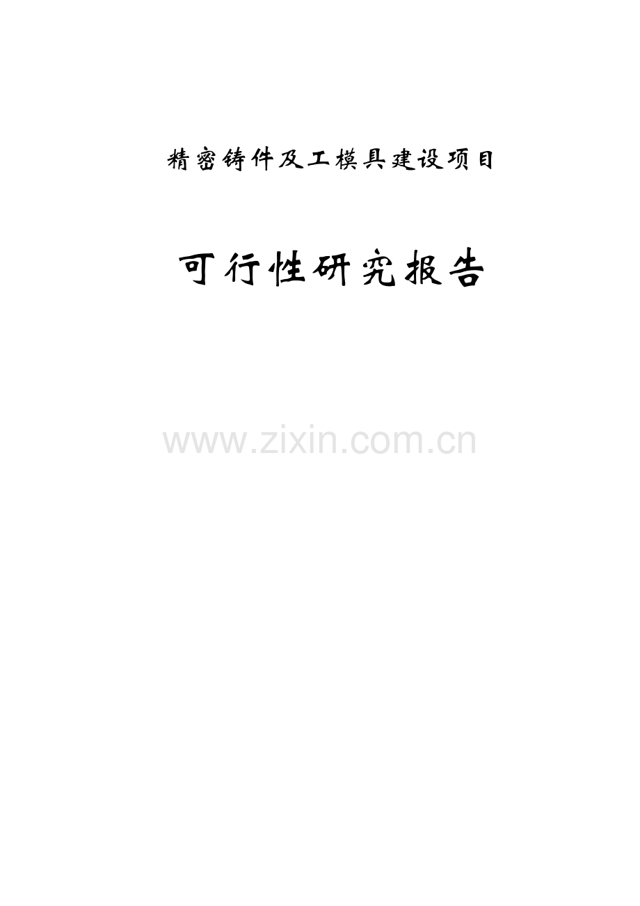 精密铸件及工模具可行性论证报告.doc_第1页