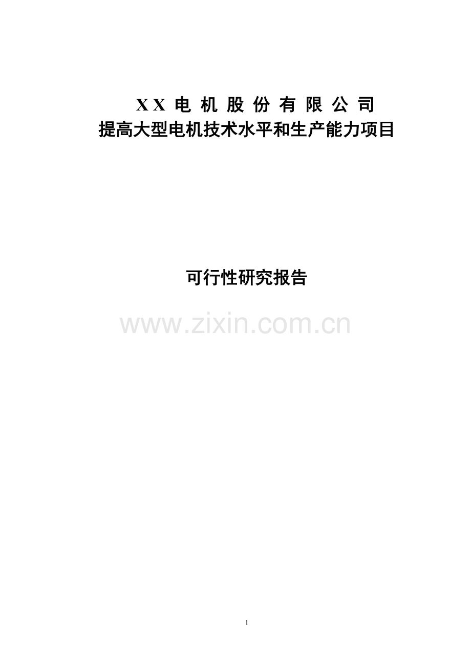某电机股份公司可行性研究报告.doc_第1页