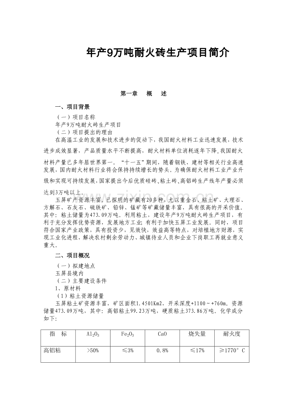 年产9万吨耐火砖生产项目建设投资可行性研究报告.doc_第1页