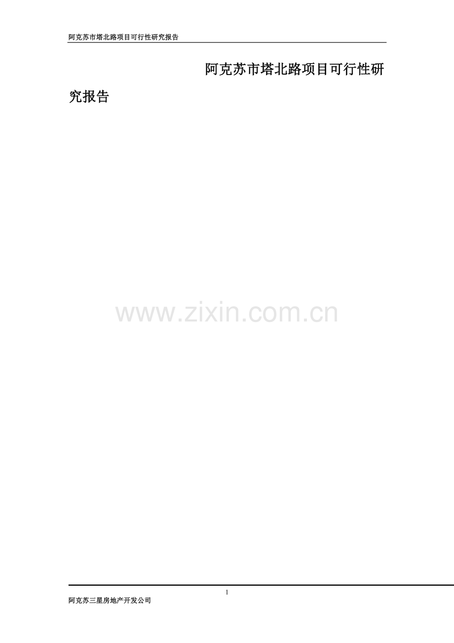 阿克苏市塔北路新建项目可行性研究报告.doc_第1页