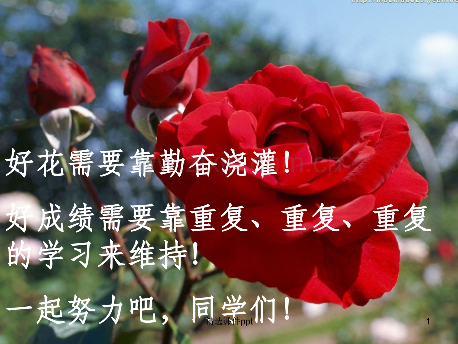 《qlj免疫调节复习》PPT课件.ppt_第1页