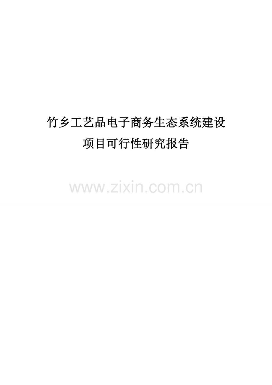 竹乡电子商务平台项目可行性研究报告.doc_第1页