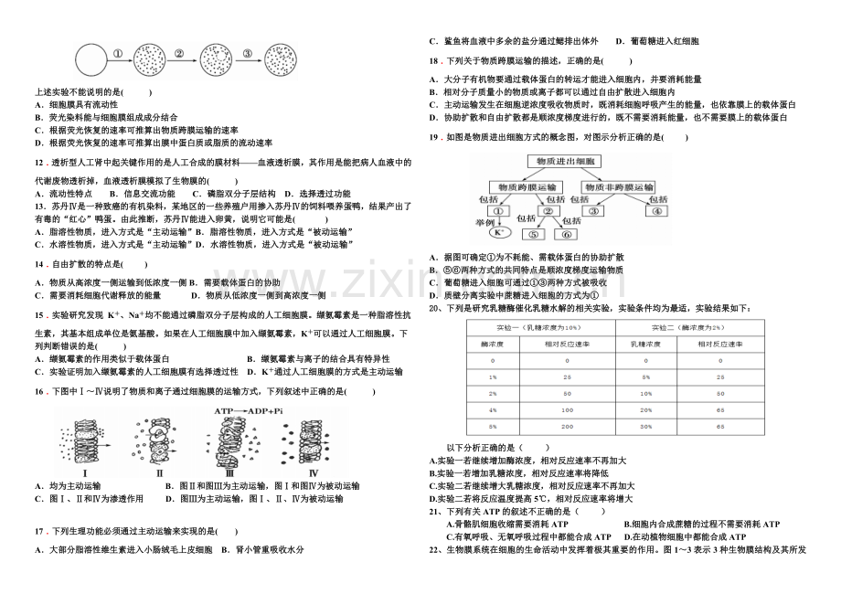 高一生物必修一4、5章期末检测题(含答案).doc_第2页