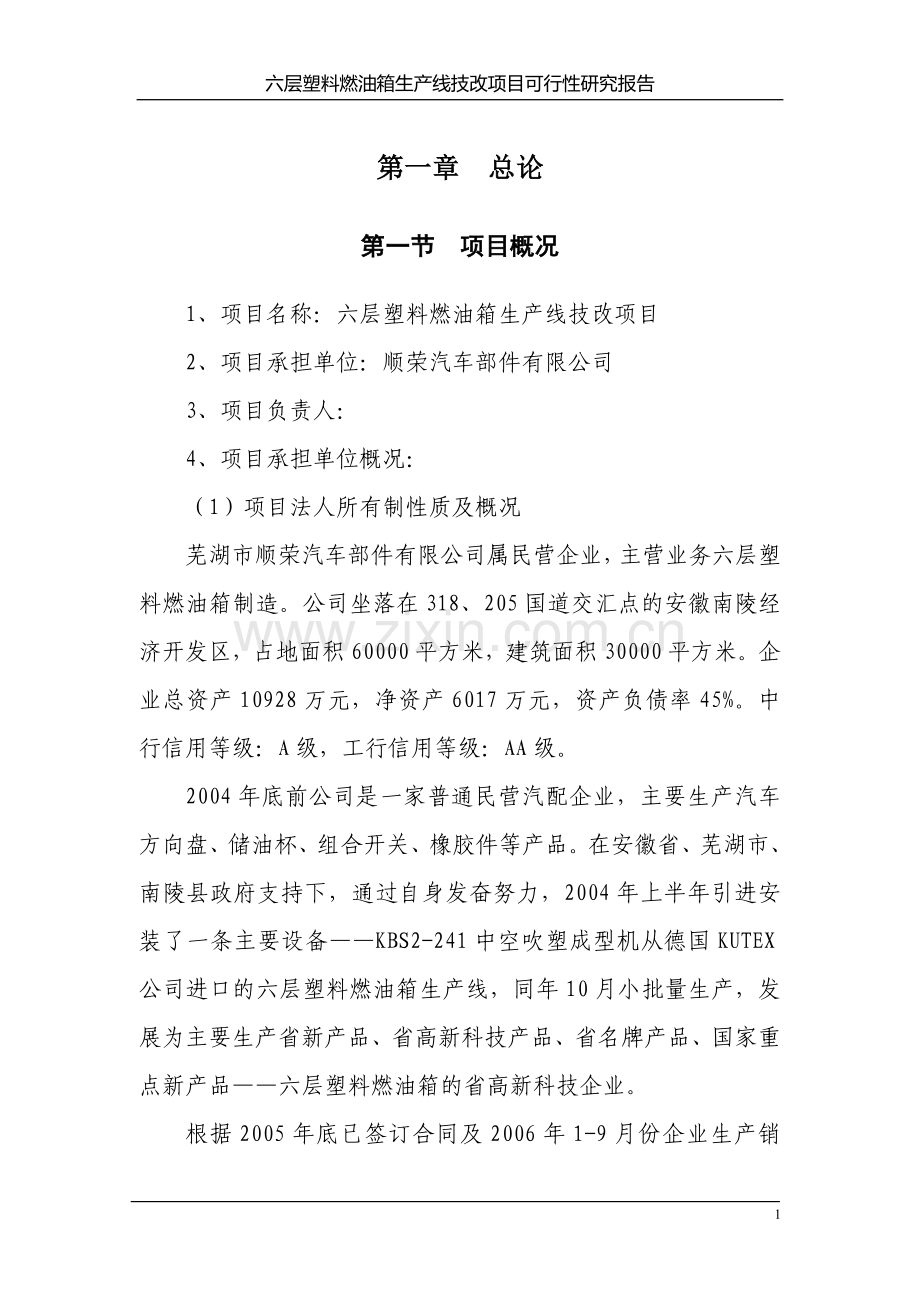 六层塑料燃油箱生产线技改项目可行性研究报告.doc_第1页