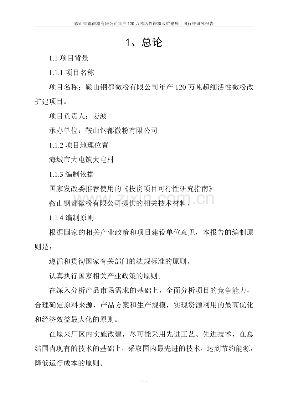年产120万吨活性微粉改扩建项目可行性论证报告.doc_第1页