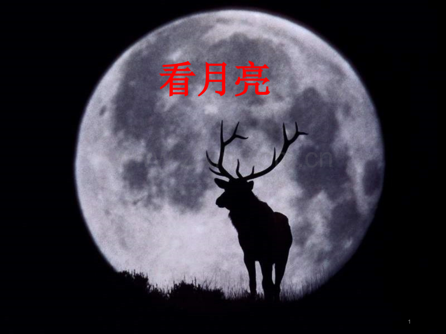 看月亮ppt课件.pptx_第1页