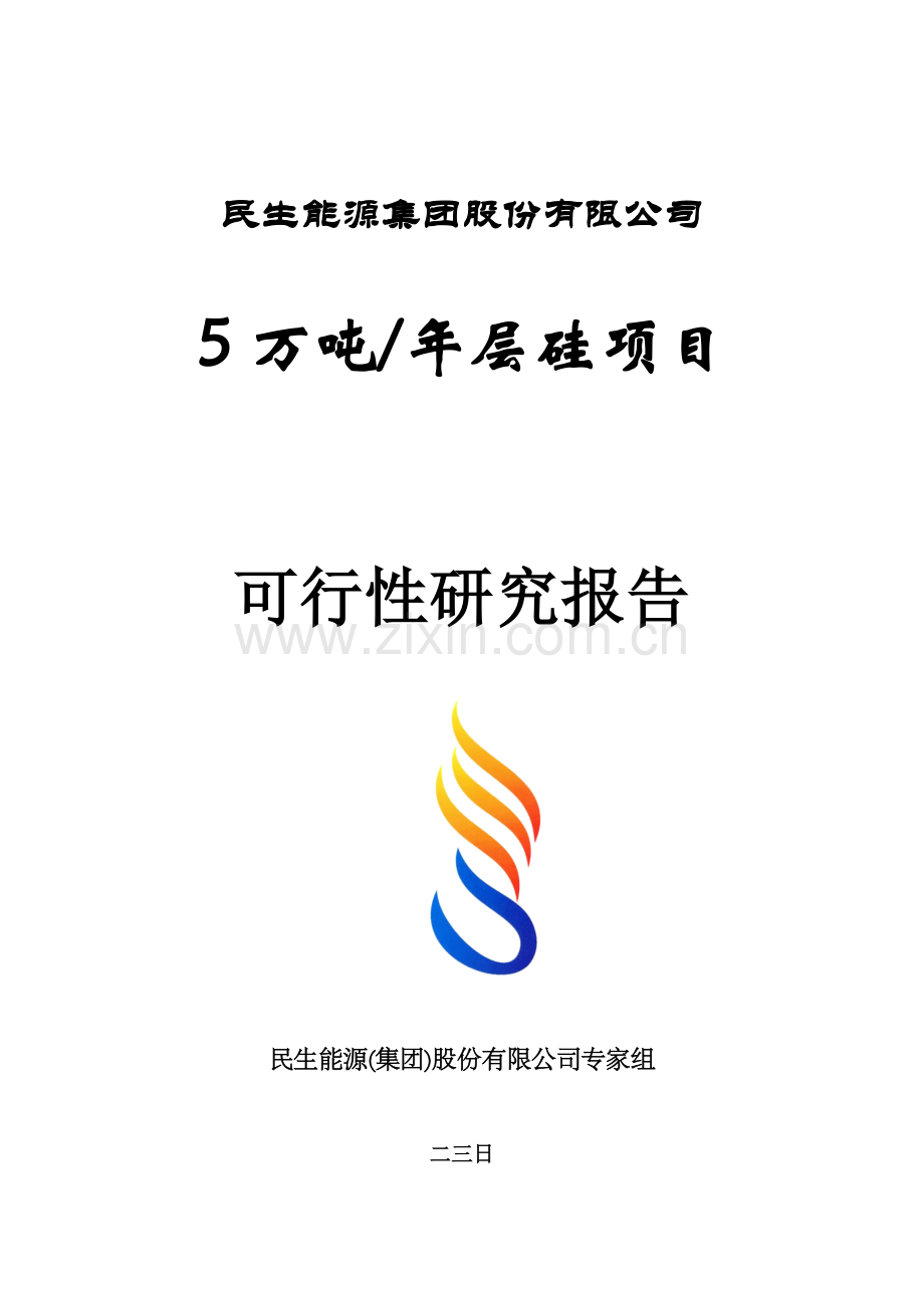 5万吨层硅助洗剂可研报告.doc_第1页