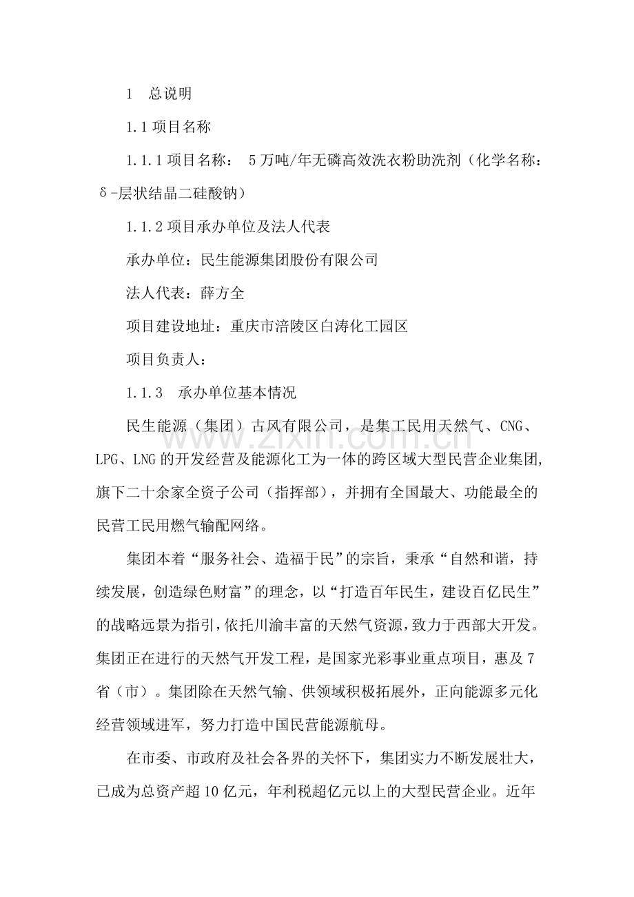 5万吨层硅助洗剂可研报告.doc_第2页
