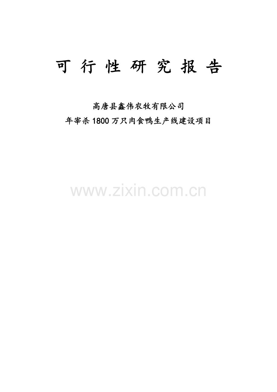 年宰杀1800万只肉食鸭生产线新建项目可行性研究报告.doc_第1页