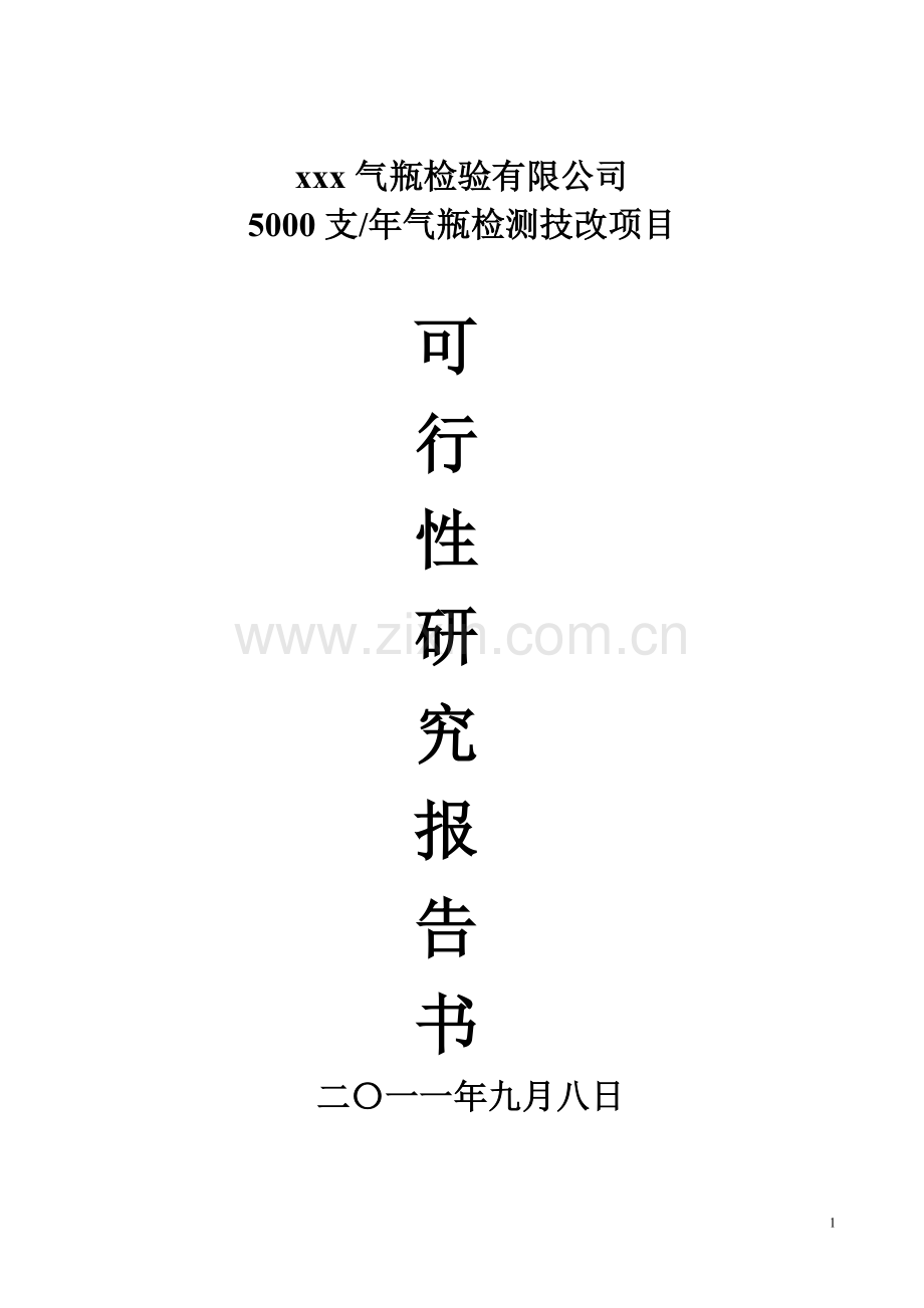 5000只年气瓶检测技改项目立项建建设可行性研究报告.doc_第1页