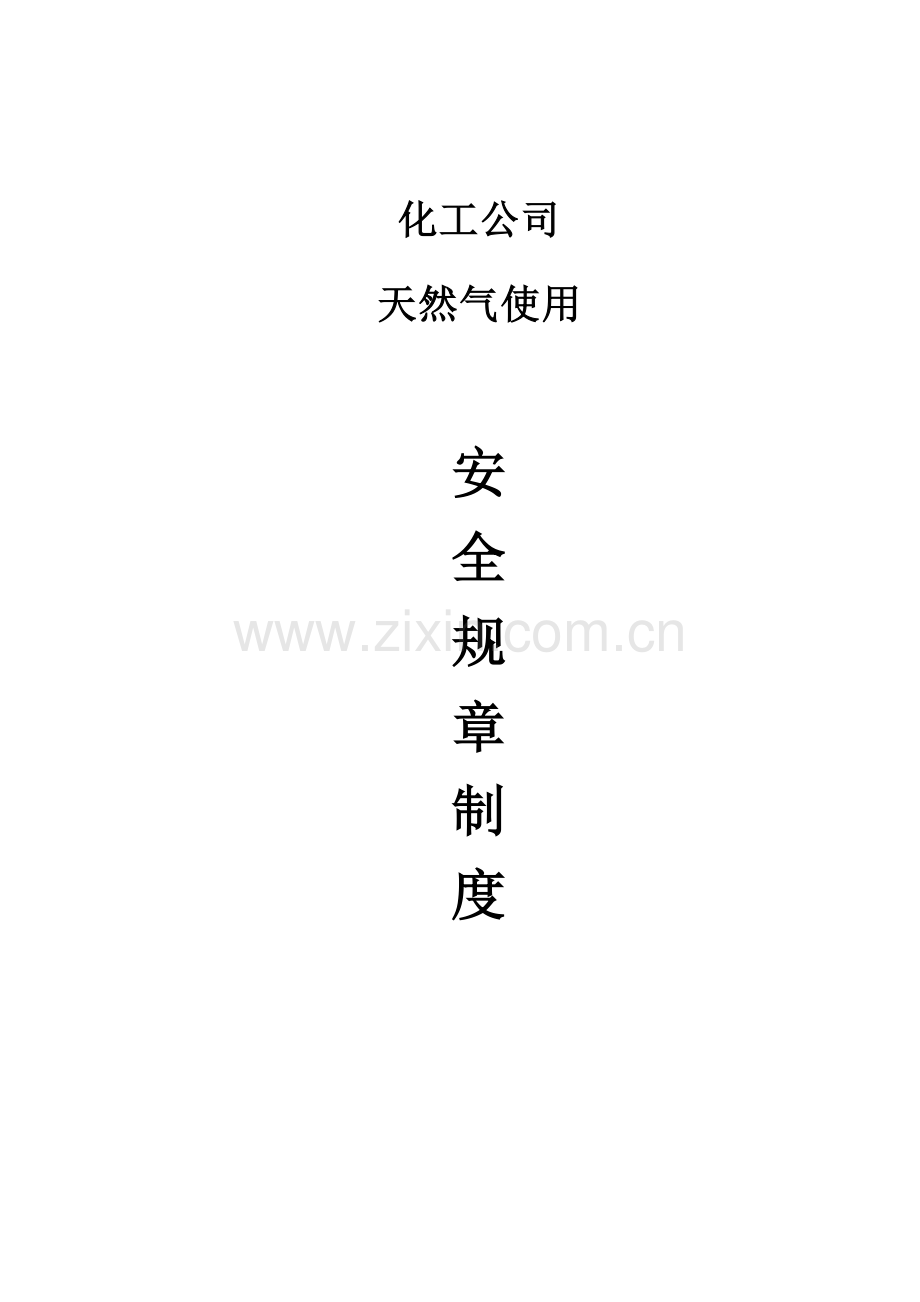 化工公司天然气使用安全规章制度.doc_第1页