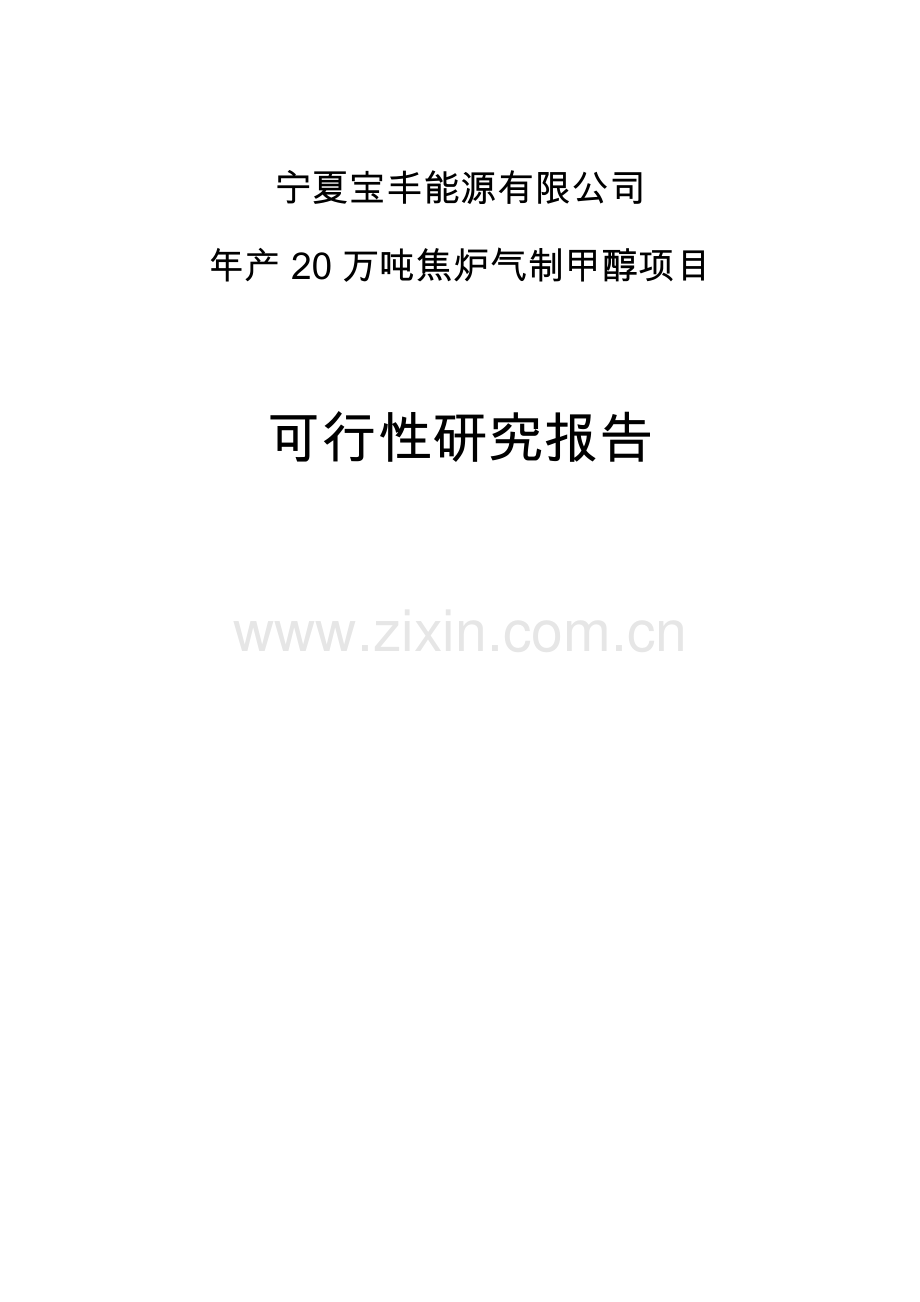 宁夏某化工年产20万吨焦炉气制甲醇可行性策划书.doc_第1页