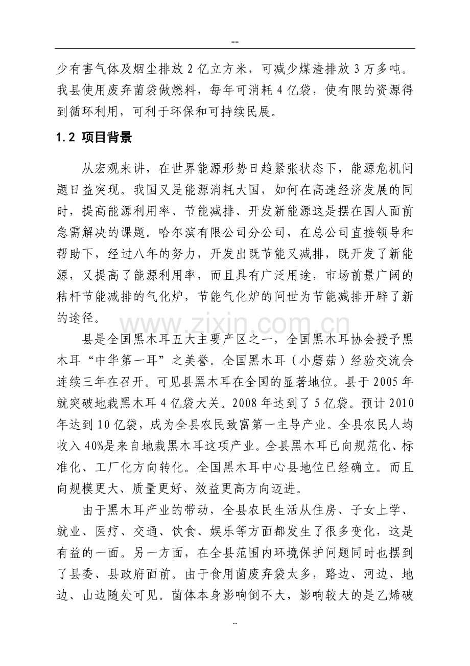 新型节能环保燃料推广应用示范基地新建可研报告.doc_第2页