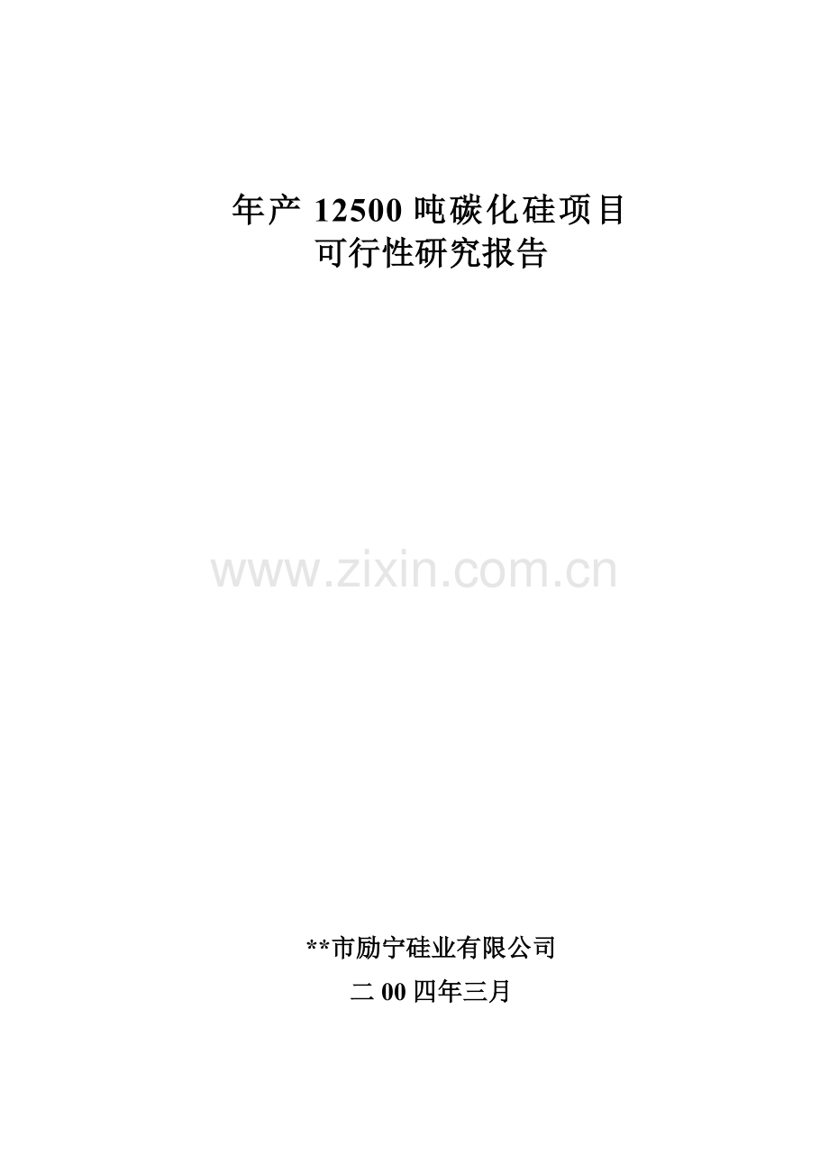 年产12500吨碳化硅项目可行性论证报告(优秀可研).doc_第1页