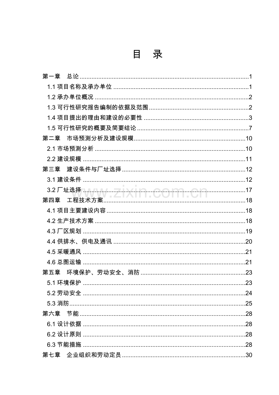 管业有限公司3000吨pvc管可研报告.doc_第1页