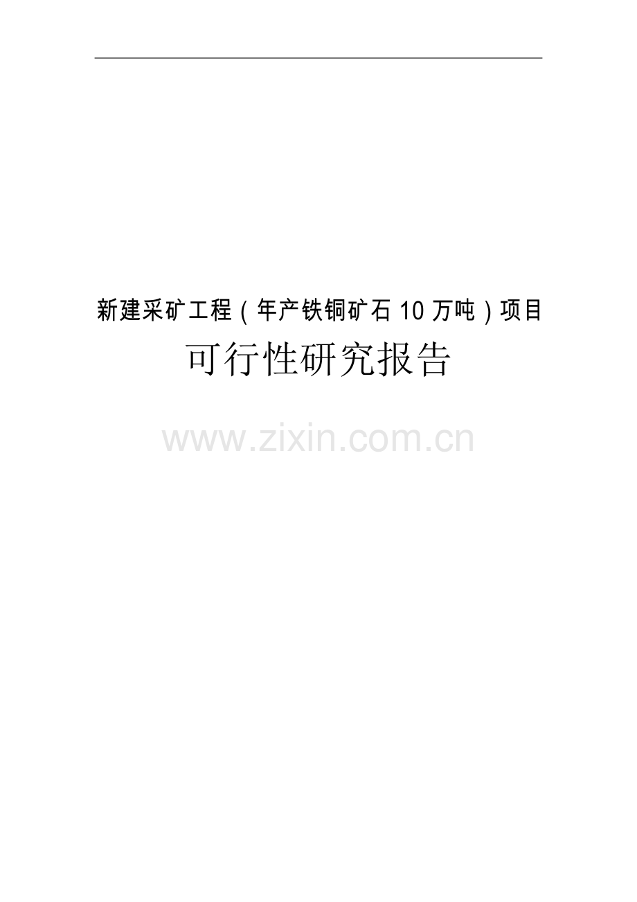 年产10w吨铁铜矿石项目可行性策划书.doc_第1页