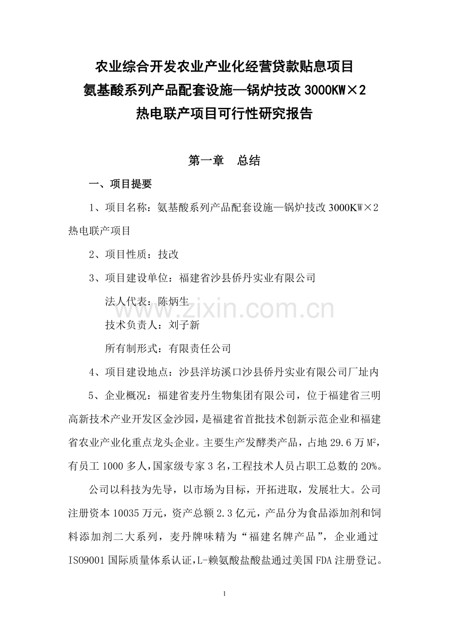 锅炉技改余压余热发电可行性论证报告.doc_第1页